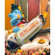 Благовония весовые Rajnigandha (Раджнигандха) 250 грамм упаковка MP